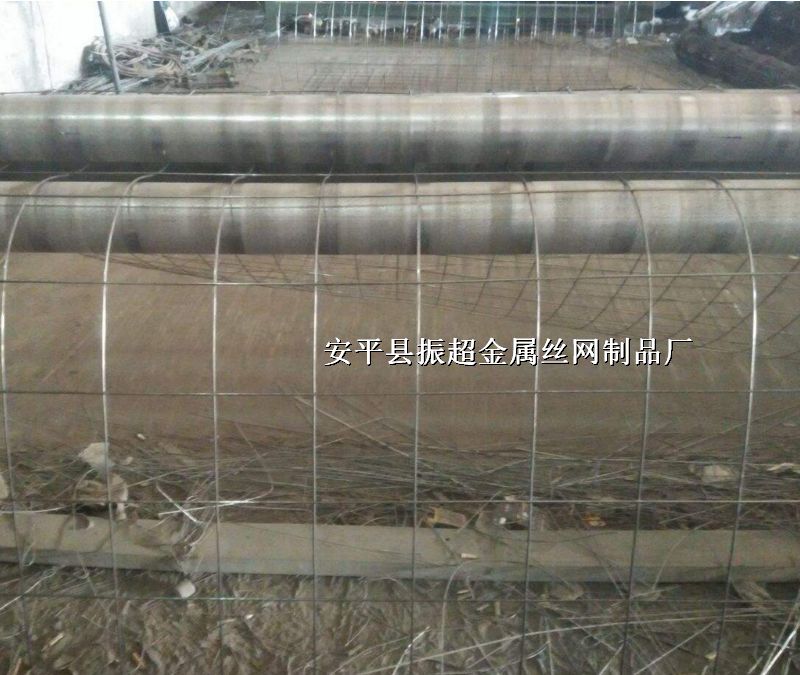 ���P�늺��W(w��ng)